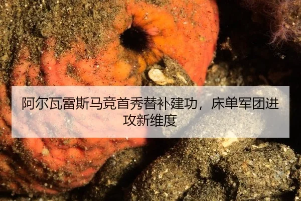 阿尔瓦雷斯马竞首秀替补建功，床单军团进攻新维度