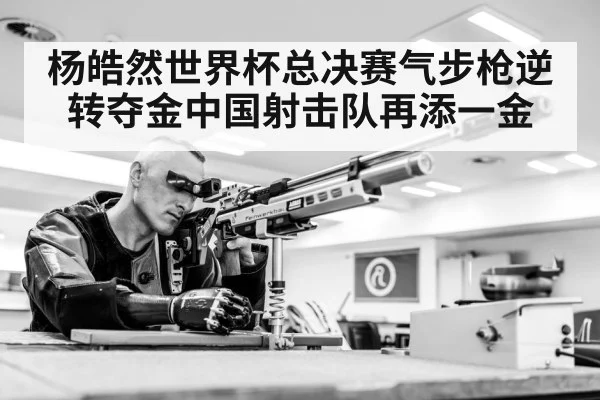 air rifle shooting competition