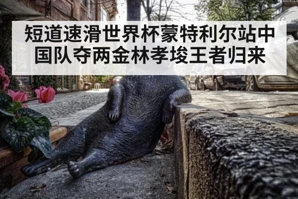 短道速滑世界杯蒙特利尔站中国队夺两金林孝埈王者归来